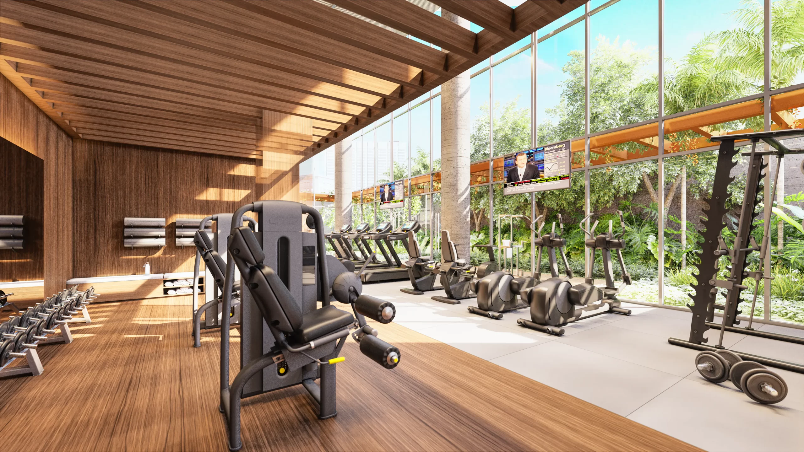 PERSPECTIVA ARTÍSTICA DO FITNESS